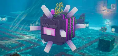 Minecraft Sunucu Bilgilendirme Görseli